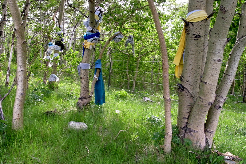 Blackfeet prayer flags