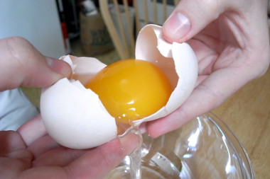 Goose egg cracked open