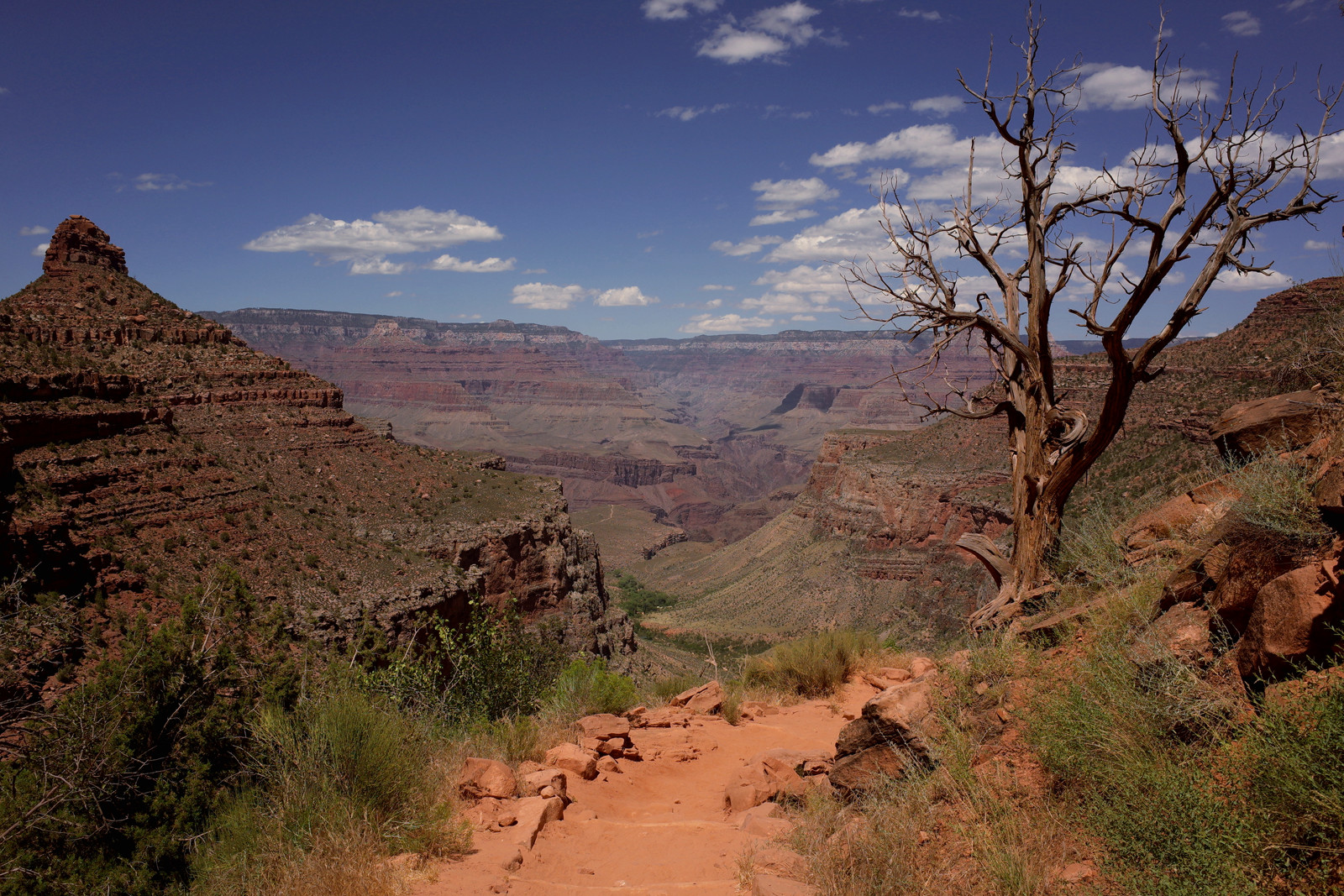 View of the Grand Canyon from the Bright Angel Trail