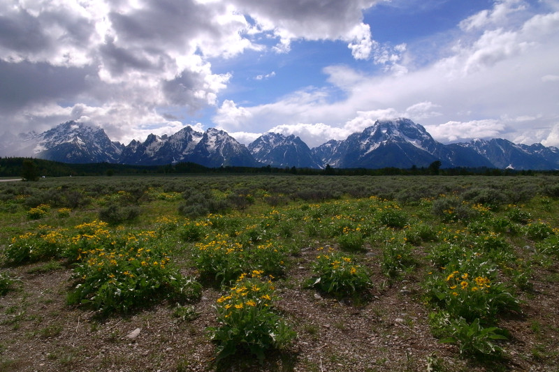 The Tetons