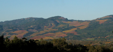 View from Jack London State Historic Park