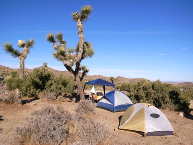 Joshua Tree National Park campsite