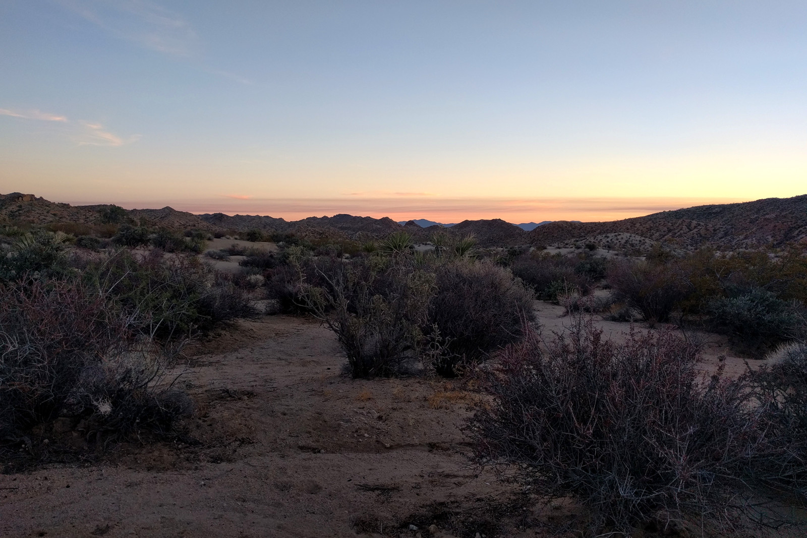 The view from our campsite at Cottonwood Campground in Joshua Tree National Park at sunset