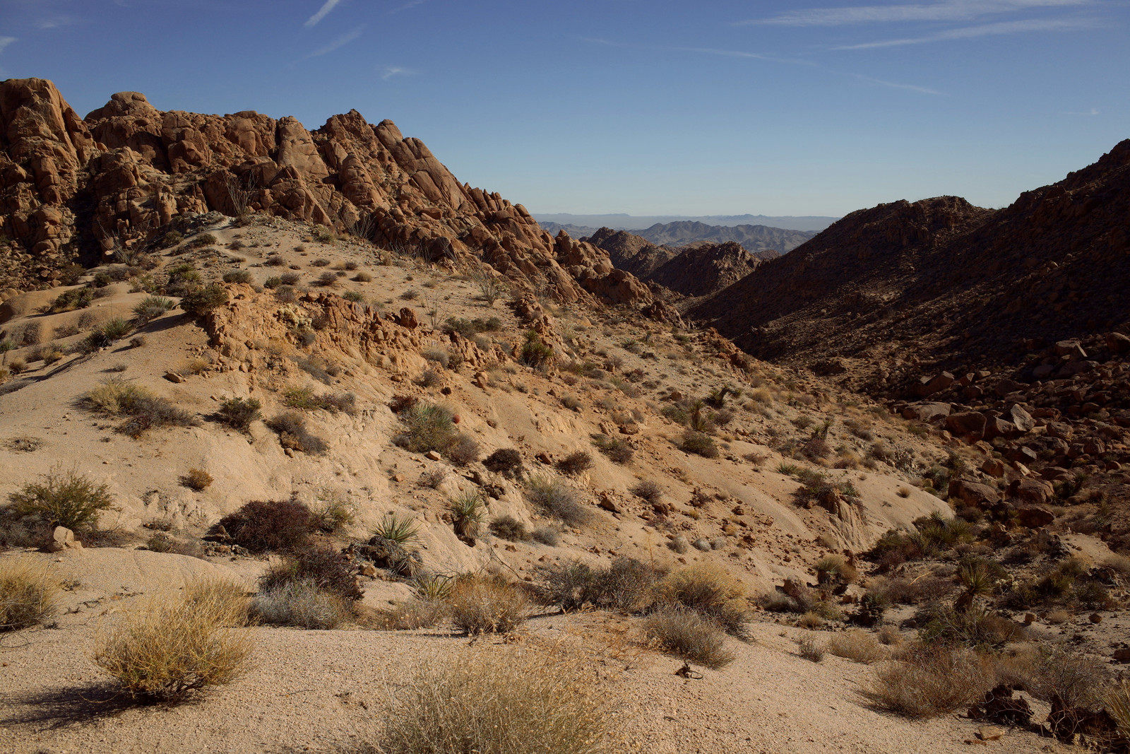 Desert vista from just above Lost Palms Canyon in Joshua Tree National Park