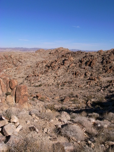 View from the Fortynine Palms Oasis trail