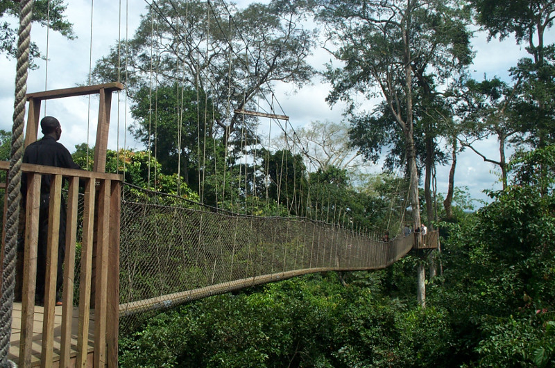 another nice view of the canopy walk