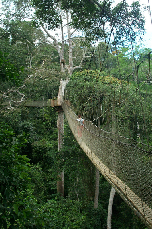 last view of the canopy walk