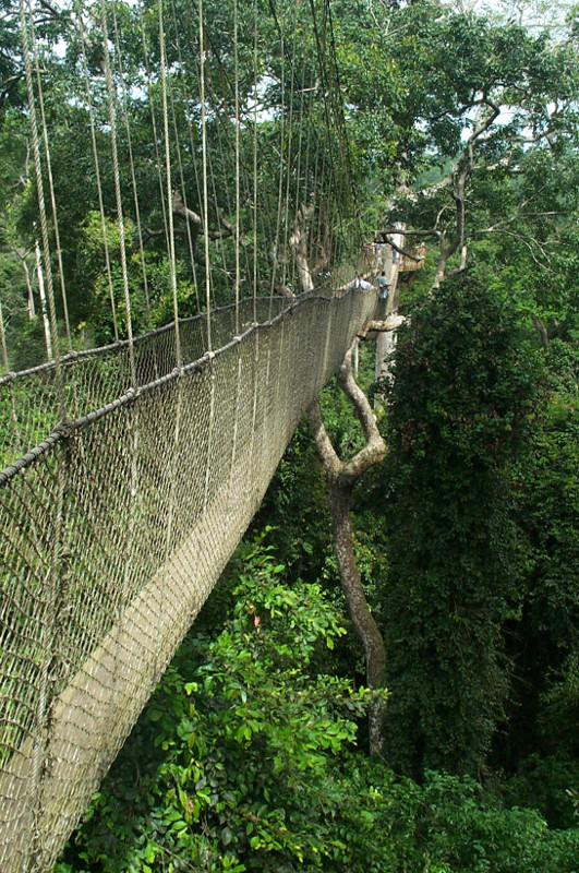 kakum national park nice view of the canopy walk