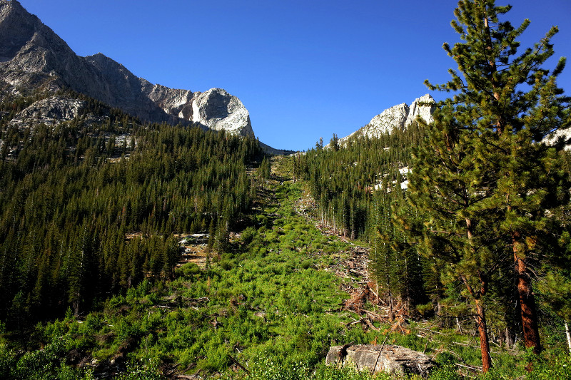 Avalanche aftermath along the Rae Lakes Loop in Kings Canyon National Park