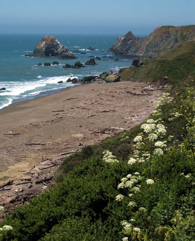 Looking due west from CA-1, just north of Jenner