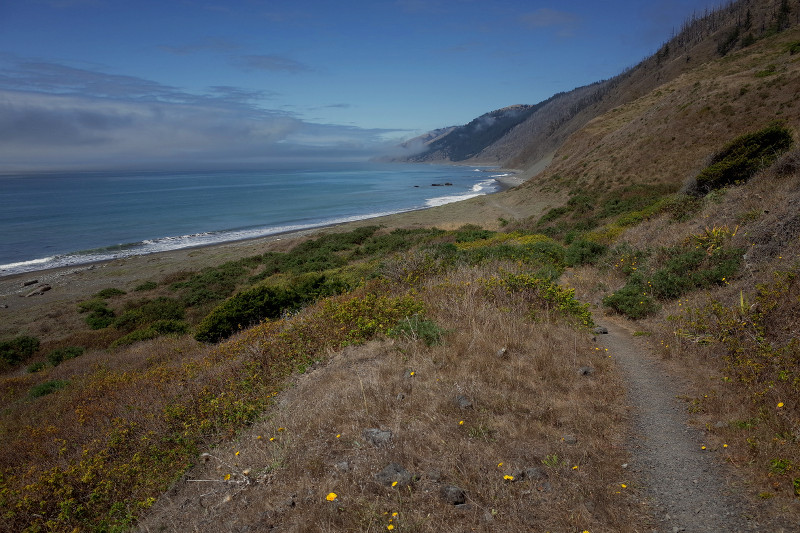 Looking back along the Lost Coast (King Range National Conservation Area)