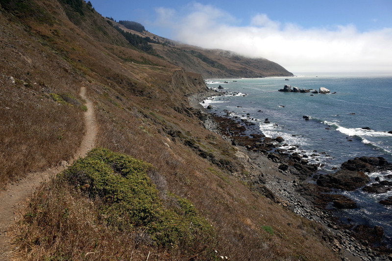Trail along the Lost Coast (King Range National Conservation Area)