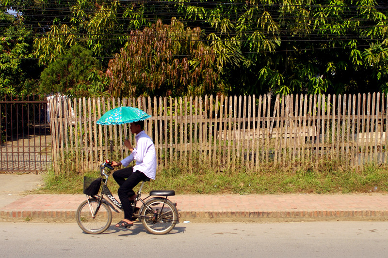 Riding a bicycle with an umbrella in Luang Prabang, Laos
