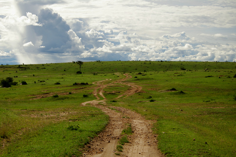 The landscape of Maasai Mara in Kenya