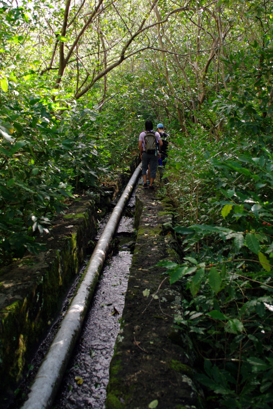 Irrigation culvert in the West Maui Mountains