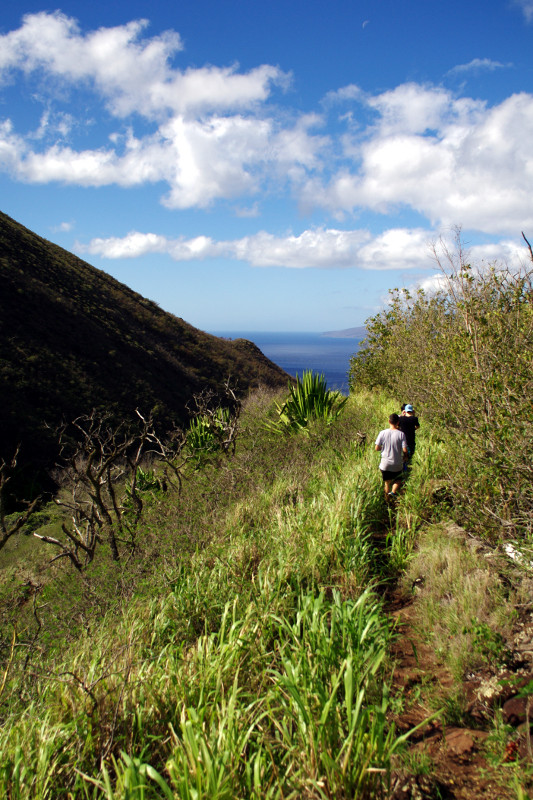 Hiking down from the West Maui Mountains