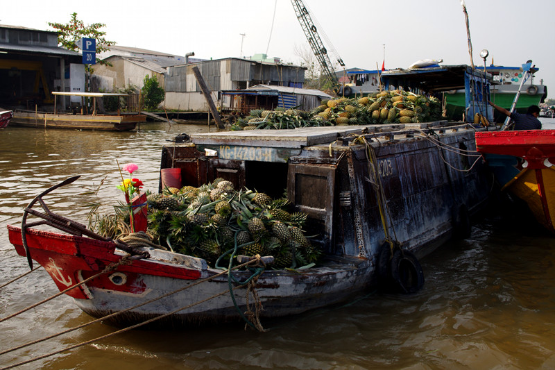 Scene from the Cần Thơ floating market in the Mekong Delta