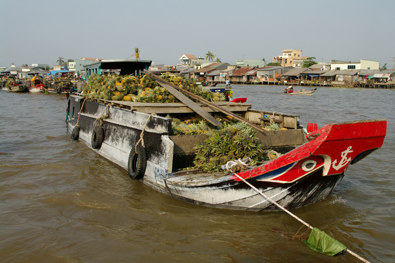 Scene from the Cần Thơ floating market in the Mekong Delta
