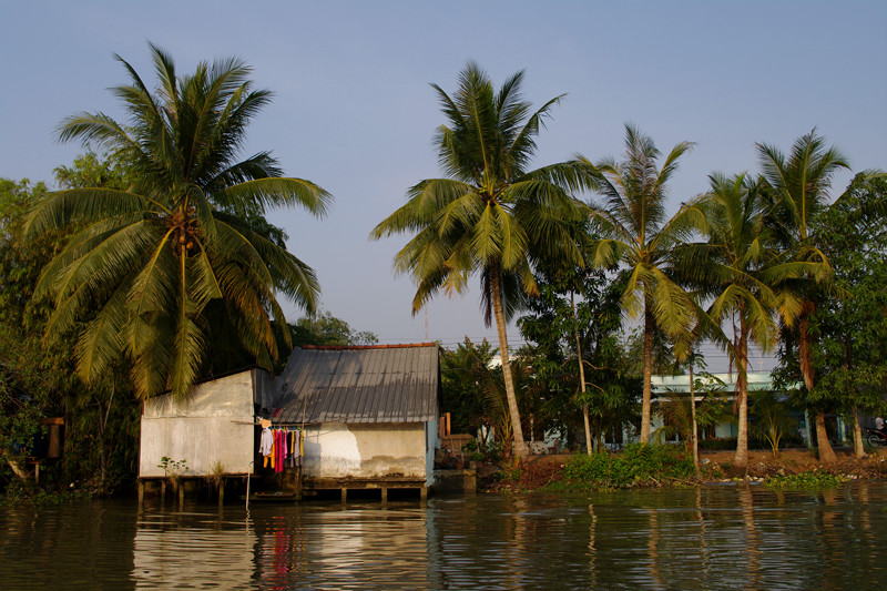 Houses along a tributary of the Cần Thơ River in the Mekong Delta