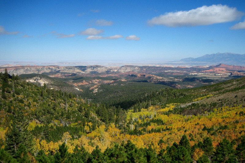 Fall colors up in the Dixie National Forest