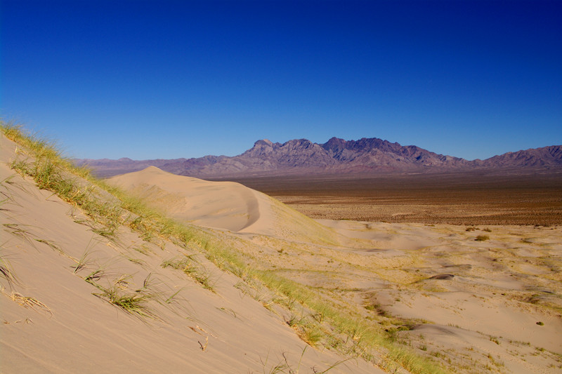 Mojave Desert Kelso Dunes