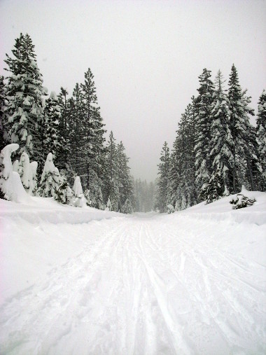 The groomed Nordic center trail