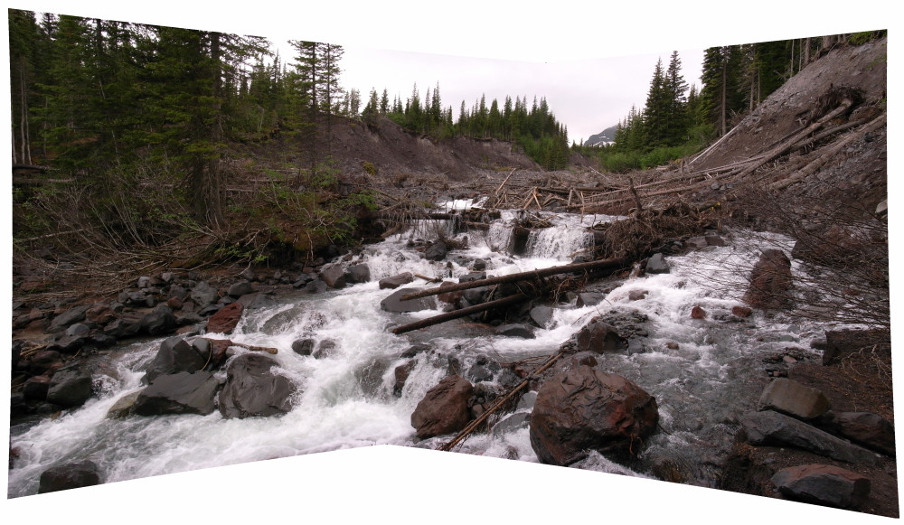 Obliterated Glacier Basin trail in Mt. Rainier National Park