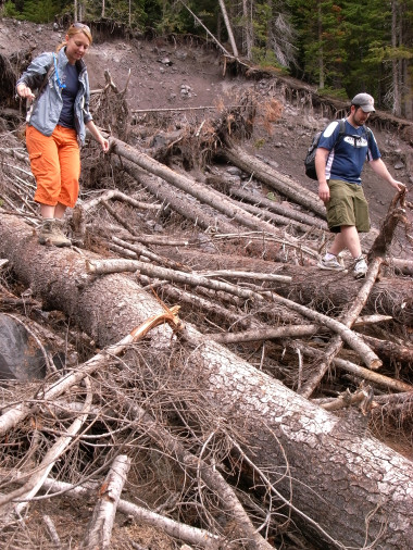 Log-walking at Mt. Rainier National Park