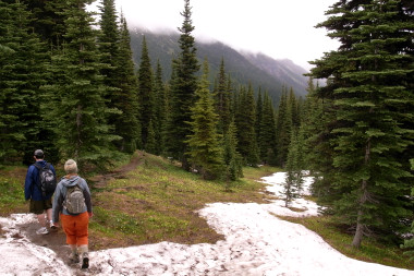 Hiking down the Glacier Basin trail at Mt. Rainier National Park