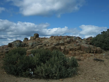 The top of the north peak of Mt. St. Helena