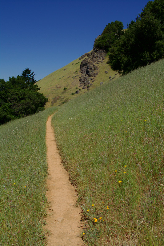 Mount Tamalpais State Park Coastal Trail