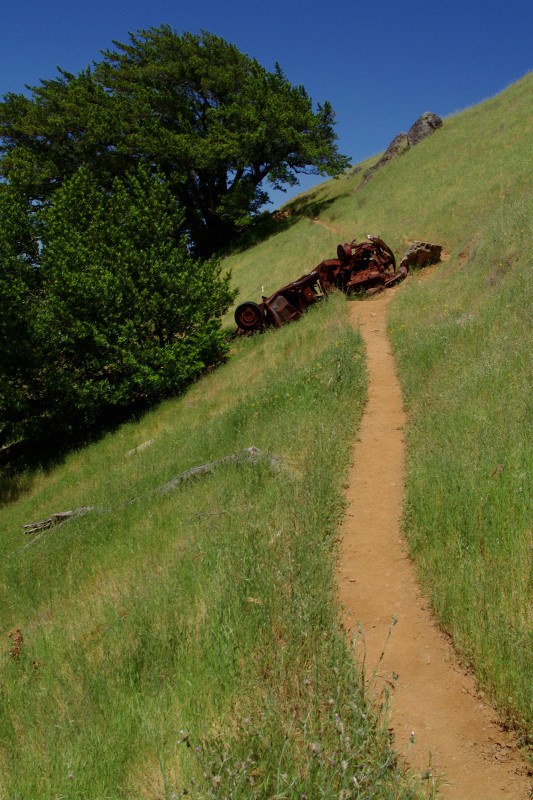 Mount Tamalpais State Park Coastal Trail