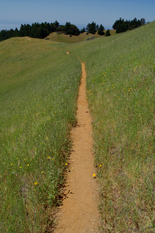 Mount Tamalpais State Park Coastal Trail