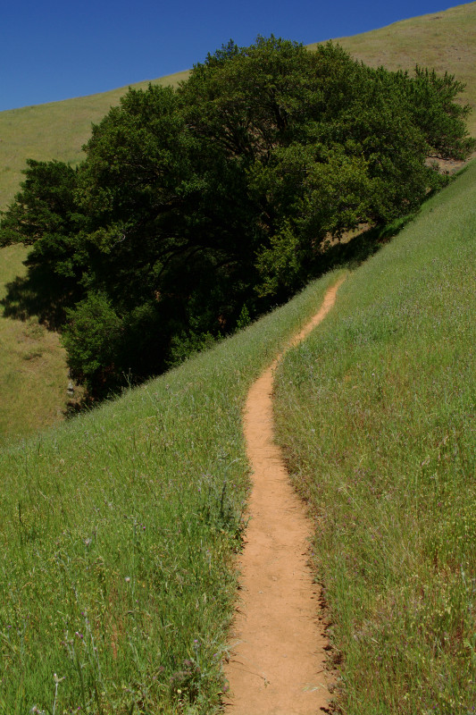 Mount Tamalpais State Park Coastal Trail