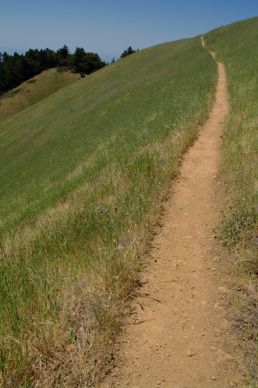 Mount Tamalpais State Park Coastal Trail