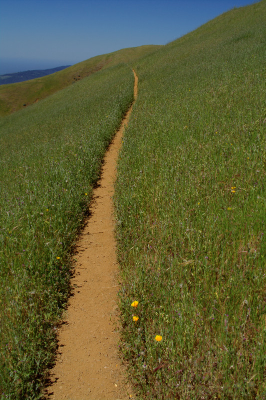 Mount Tamalpais State Park Coastal Trail