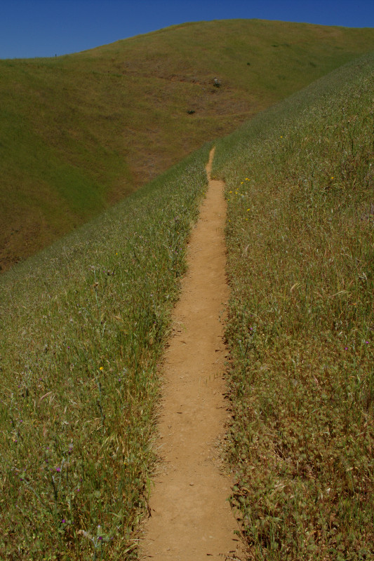 Mount Tamalpais State Park Coastal Trail