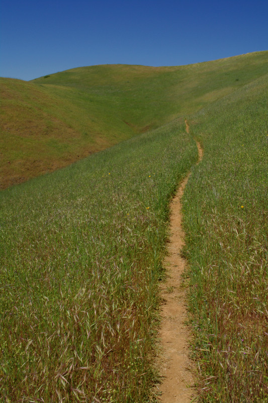 Mount Tamalpais State Park Coastal Trail