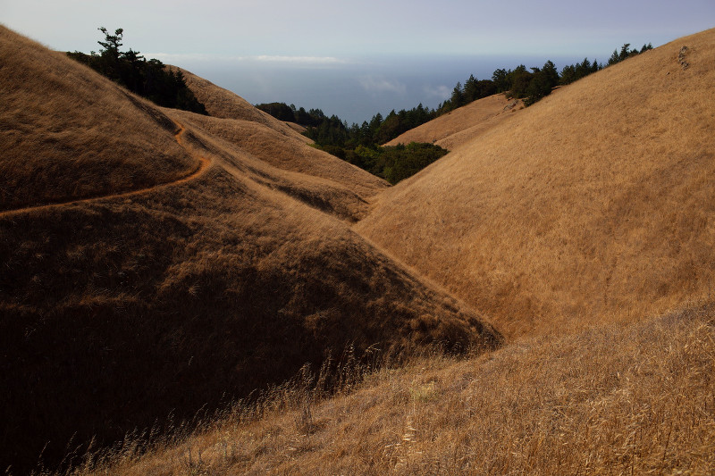 Mt Tamalpais State Park Coastal Trail