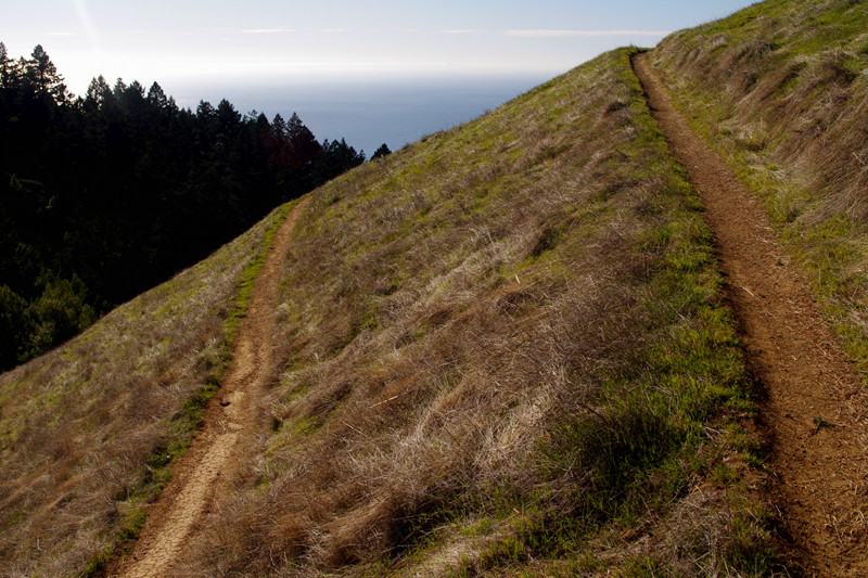 The Coastal Trail above Stinson Beach in Mt Tamalpais State Park, California