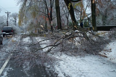 debris on cameron avenue