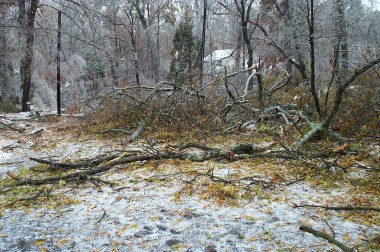 North Carolina Ice Storm Of 2002 - Justinsomnia