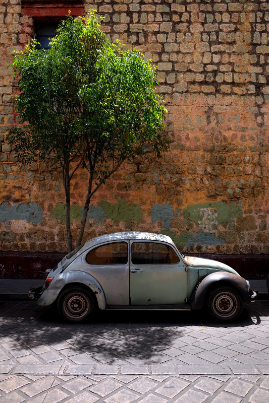 Oaxacan Volkswagen Beetle