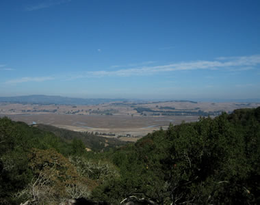 View of the Petaluma River from Olompali State Historic Park