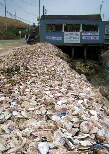 Oyster Shells outside The Marshall Store