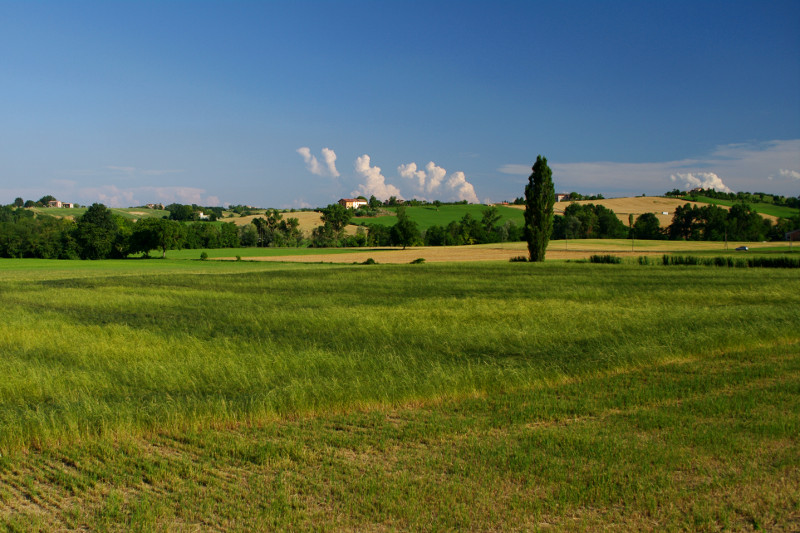 Fields outside of Tabiano, Italy