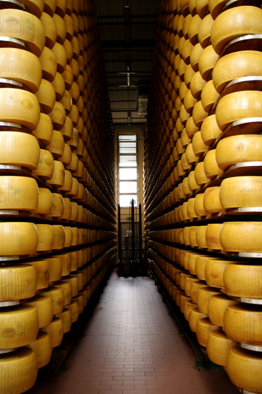 Parmigiano-Reggiano cheese aging