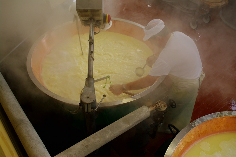 The cheesemaker monitors the temperature and checks the curds for Parmigiano-Reggiano