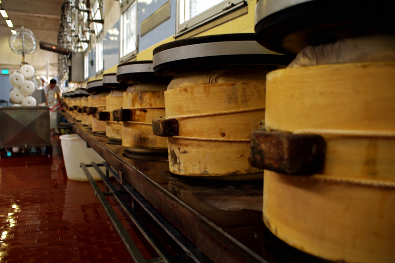 Cheese press at the Parmigiano-Reggiano cheese factory