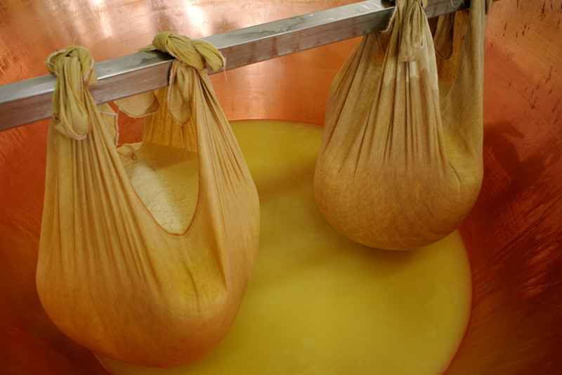 parmigiano reggiano cheese factory twins